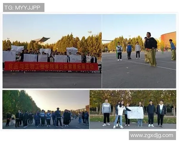 杭州飞盘队心理素质分析与提升策略探讨